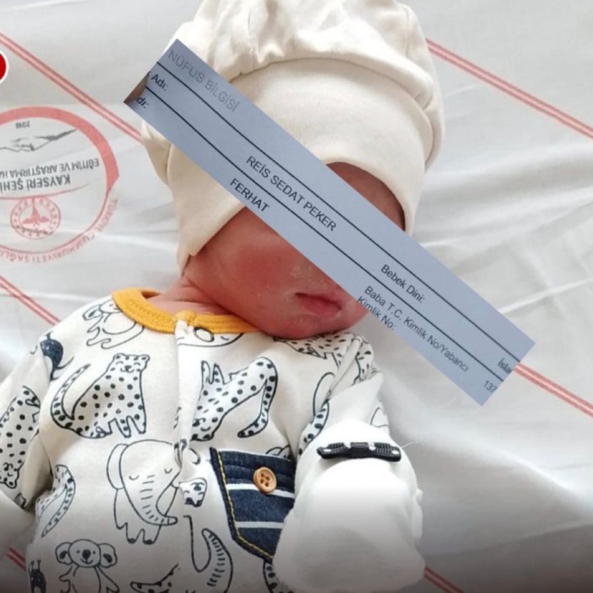 Gusholder Haber Bülteni tweet media