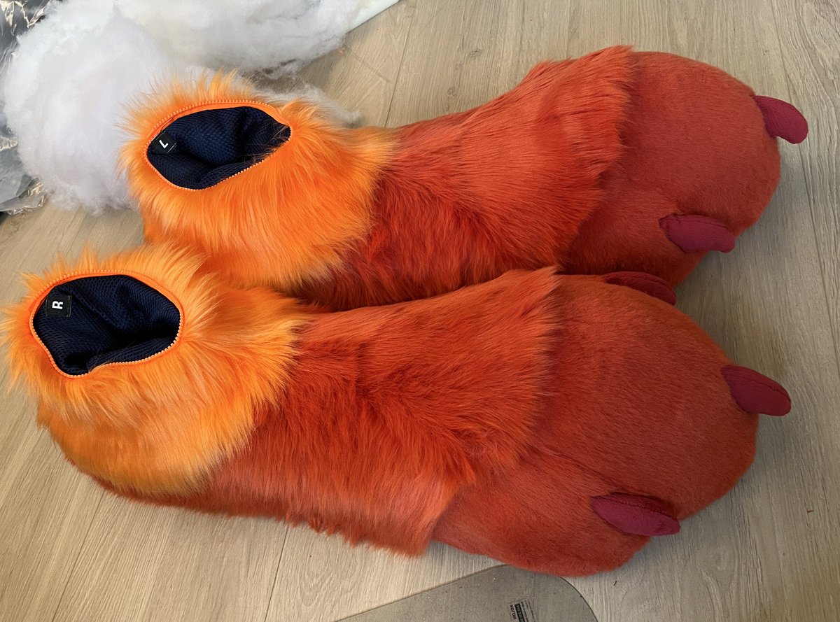 Sheenitude tweet media