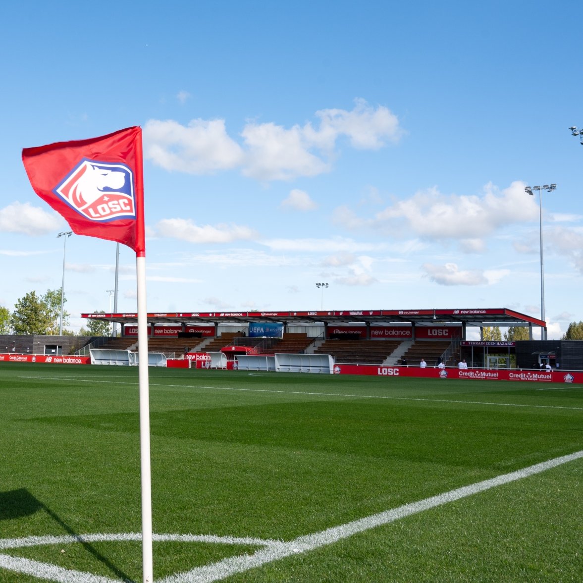 LOSC FANS ONLINE 🔴⚪ tweet media