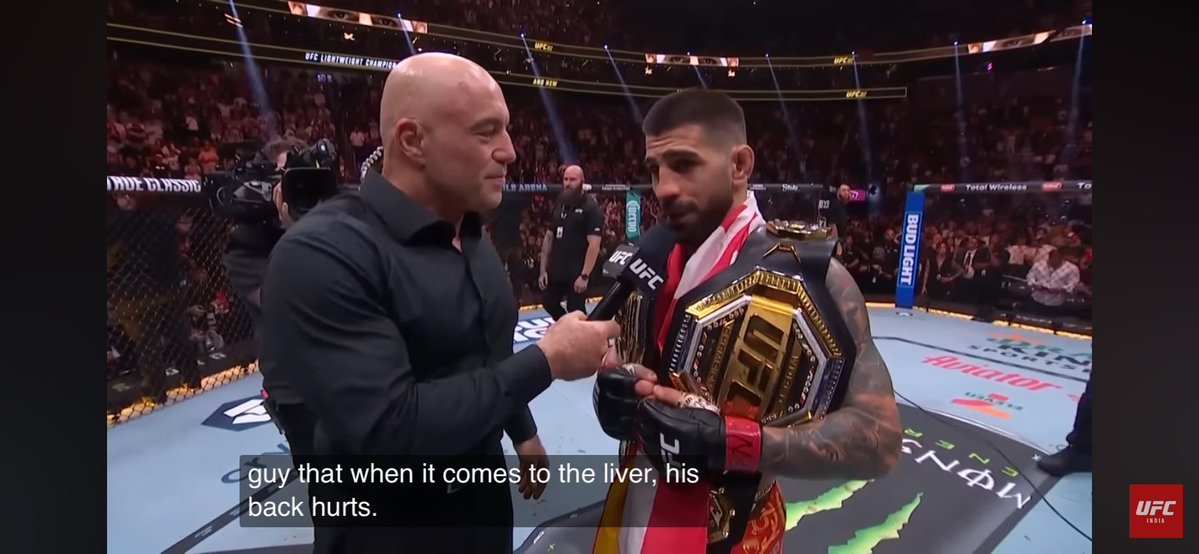 Queen Bee tweet media