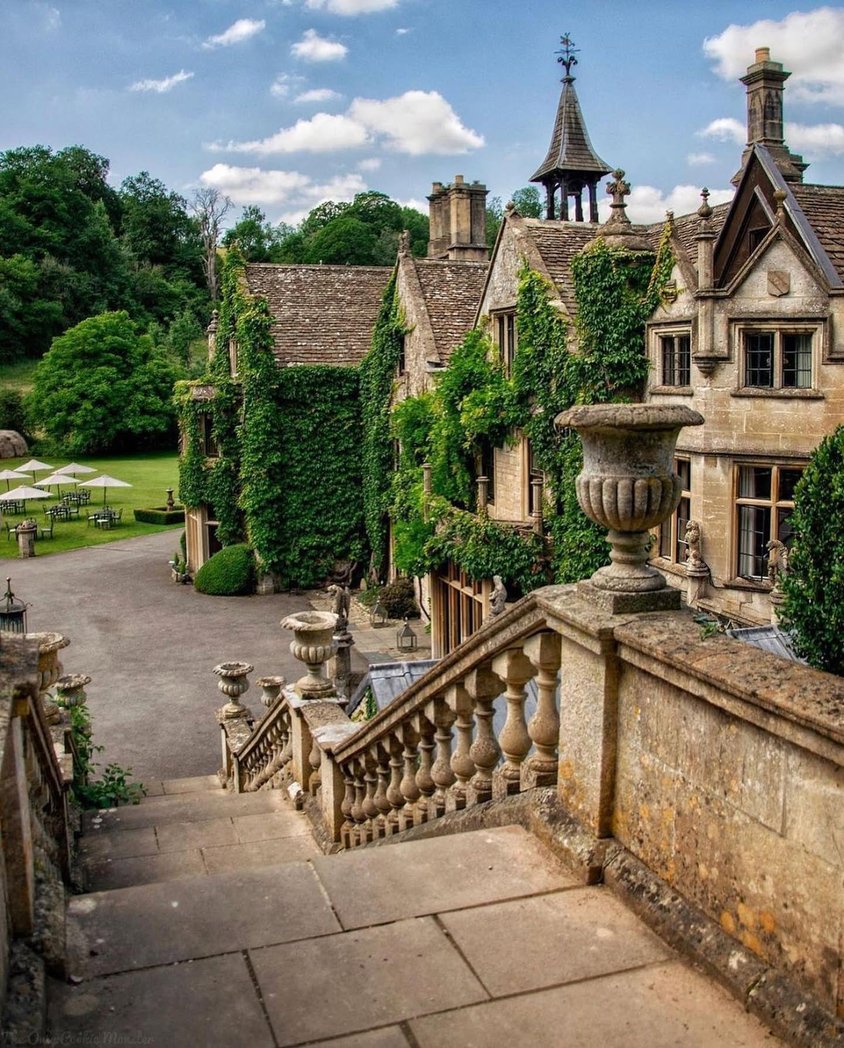 WanderLens tweet media