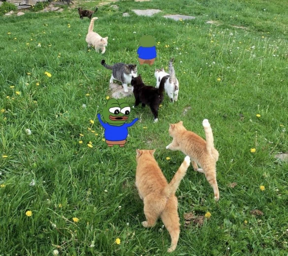 RALVΞRO tweet media