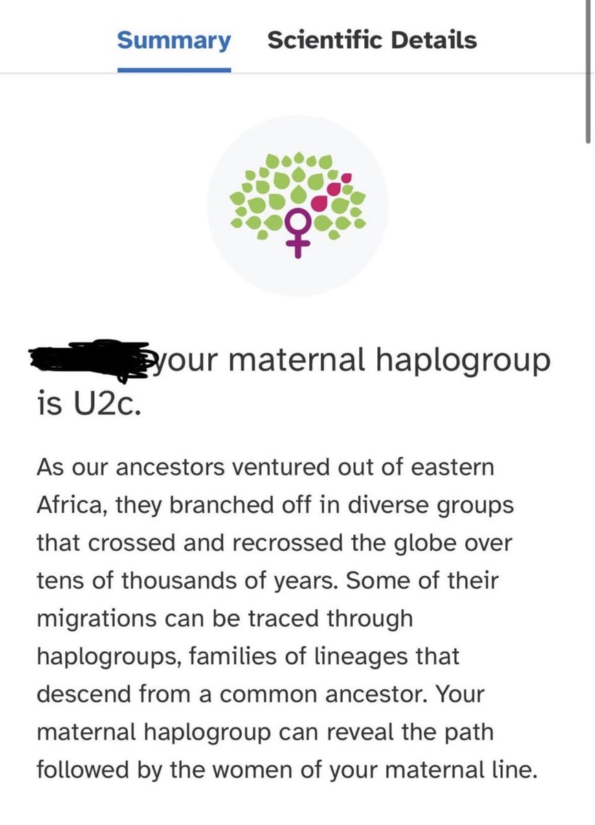 مهدی tweet media