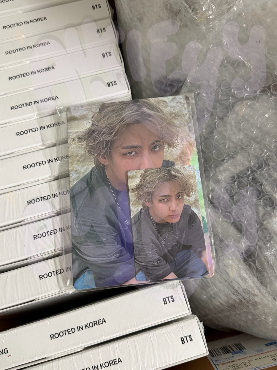 𝕒𝕦𝕤𝕚𝕖𝕪𝕪 - 𝕤𝕪𝕕 ☘️ tweet media