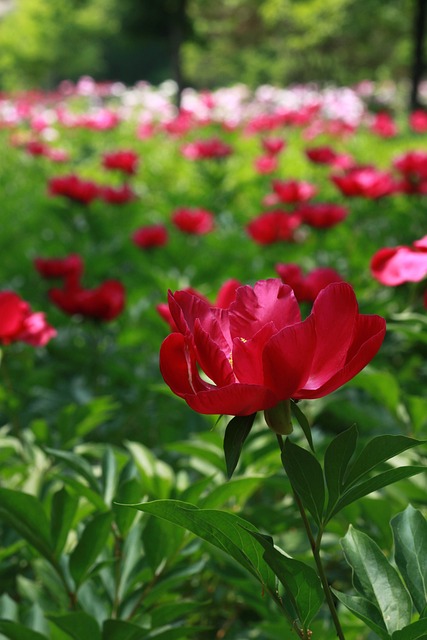 Mary Davis tweet media