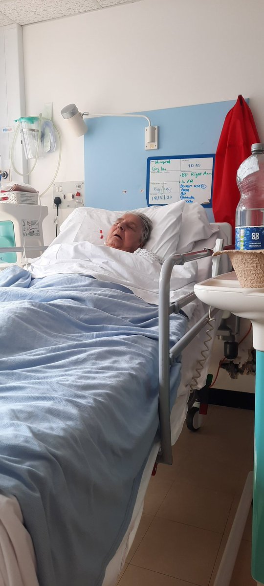 Ragnars Brother Rollo tweet media