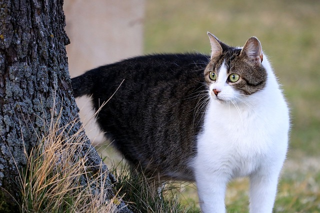 Greg Arnold tweet media