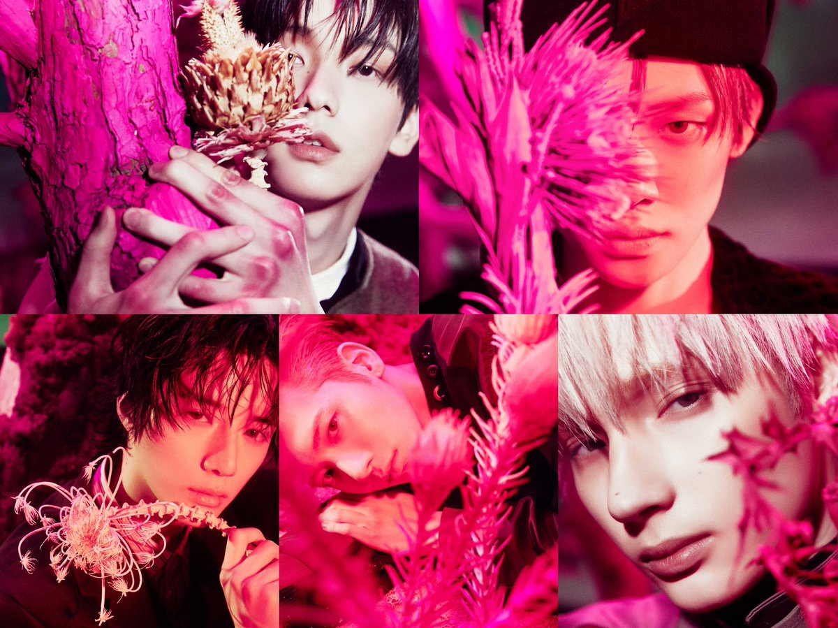 7TH YEAR: lyka 🩷🖤 tweet media