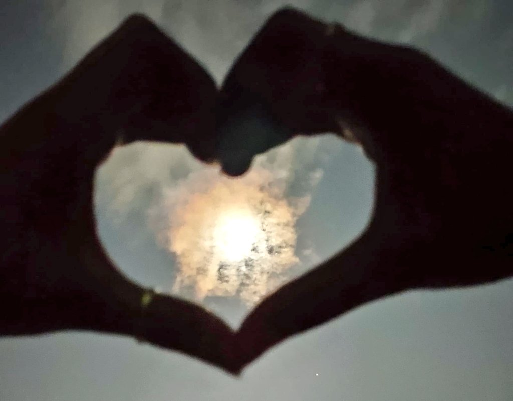 The_Maya tweet media