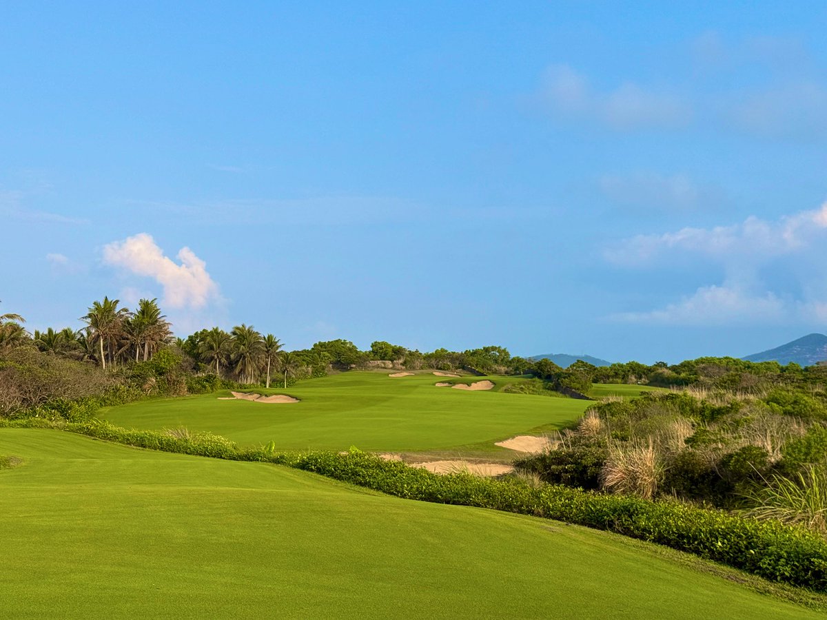 Rick Golfs tweet media