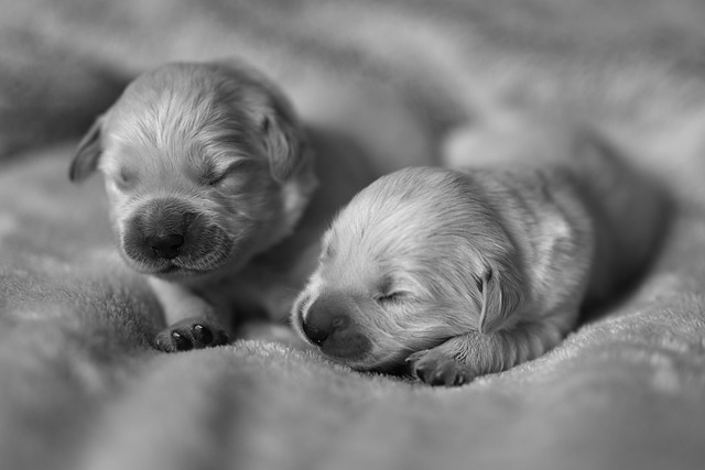 Linda Wager tweet media