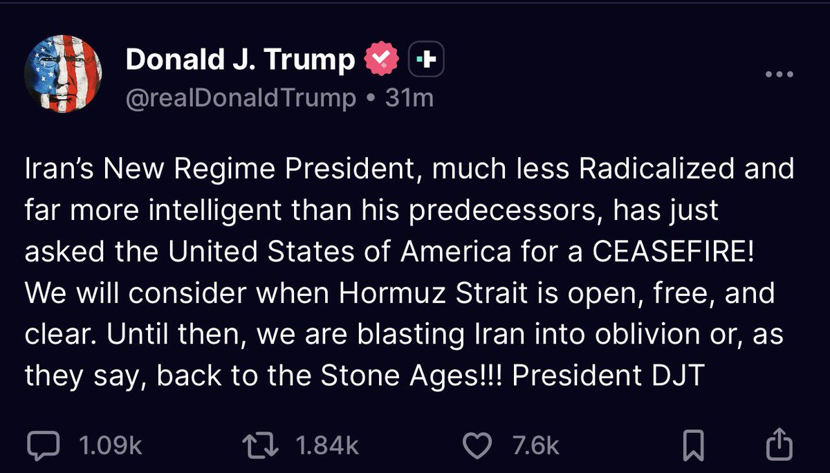 R.zabib / رضا زبیب tweet media