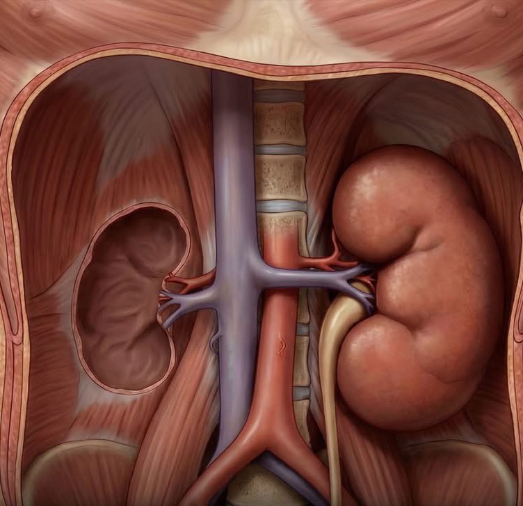 Pharm. Greatman tweet media