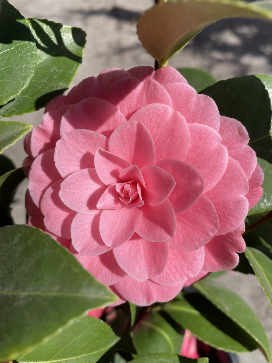 Zack 𓂀 tweet media