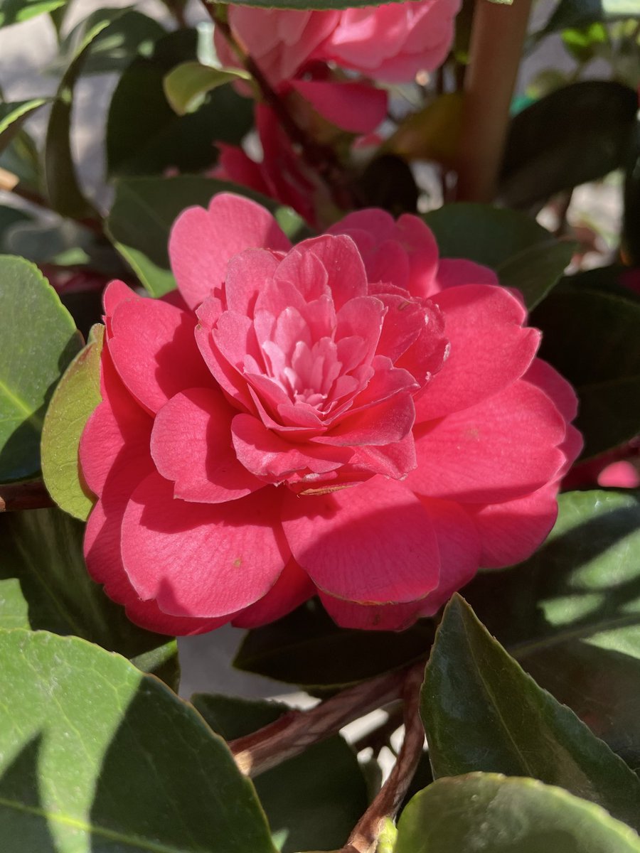 Zack 𓂀 tweet media