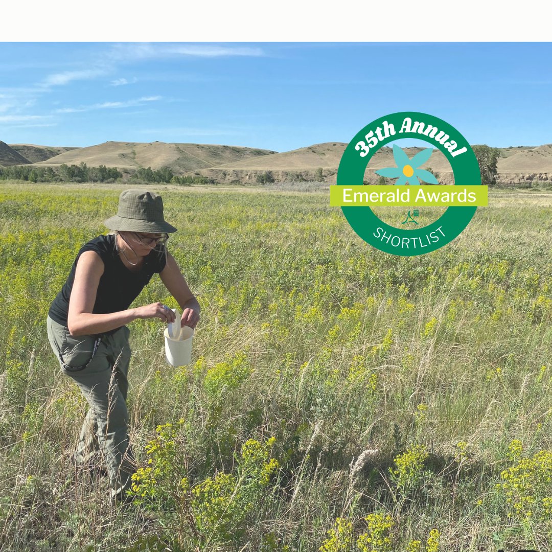 ABInvasives's tweet photo. HOW COOL!!😎 We’re SO proud to share that we’ve been shortlisted for the 35th Annual Emerald Awards for the FIRST TIME!

Our nomination in Land Use, Agriculture, or Forestry recognizes our leadership in biological control for invasive plants - see you June 4th!

#EmeraldAwards https://t.co/NgA0XCrXrh