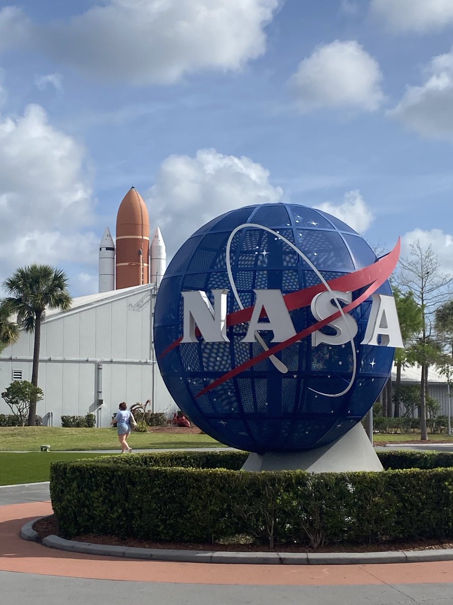 Sylvia Cesaratto tweet media