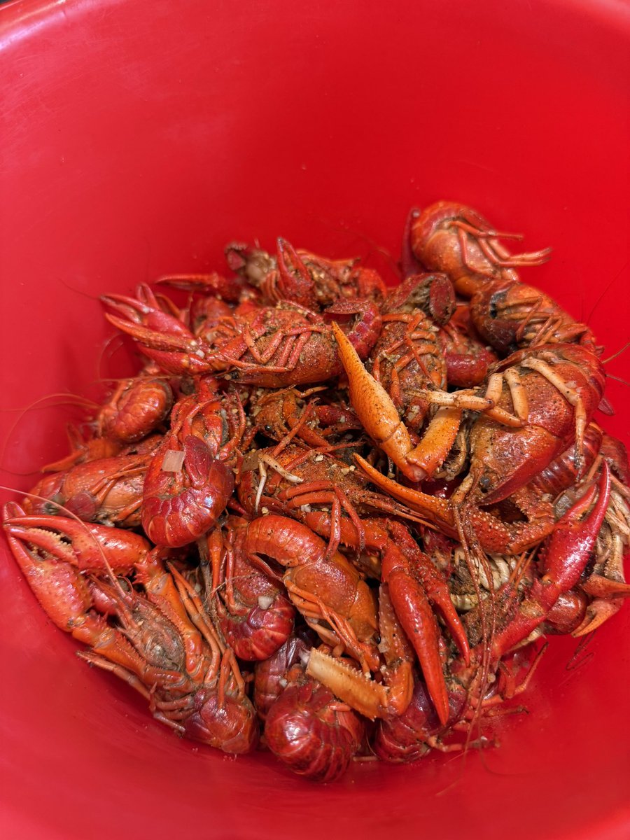 Lucia🍊🍊🇺🇸🇺🇸榜一姐 tweet media