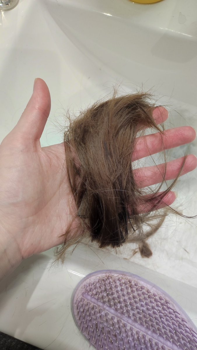 Ее унесли кабаны 🐗🐗🐗 tweet media