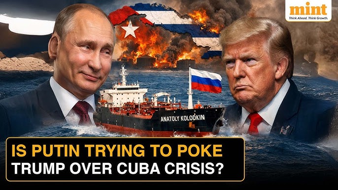 Lovable Liberal and his Old English sheepdog tweet media