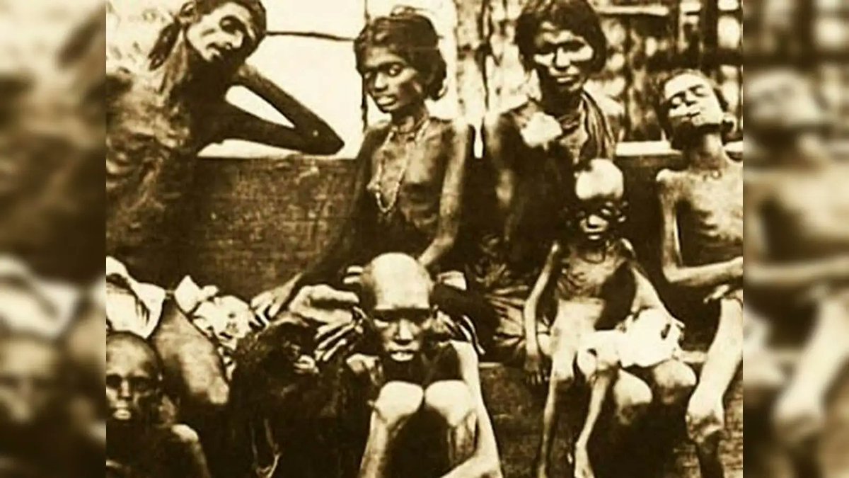 RadioBirdman tweet media