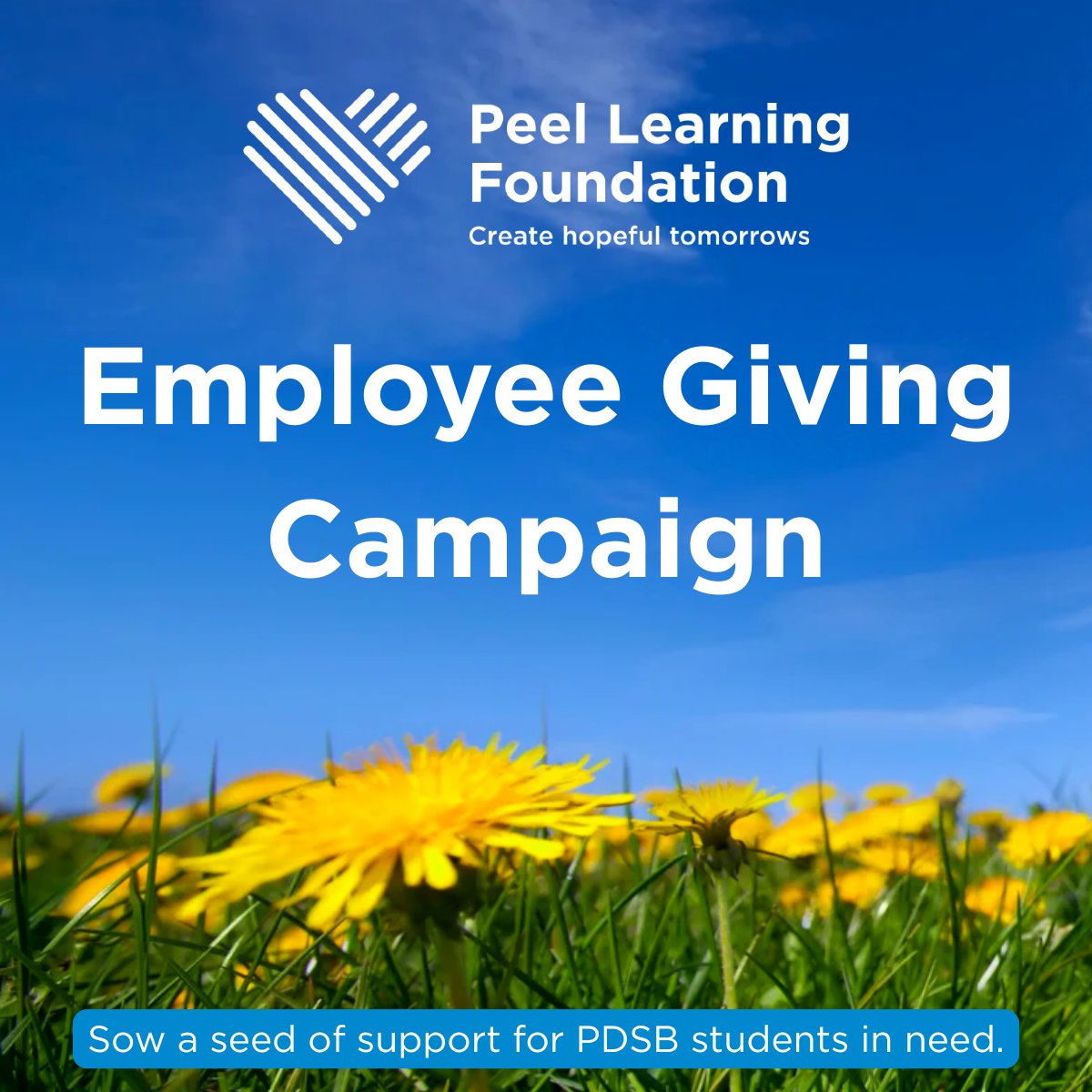 Peel Learning Foundation tweet media