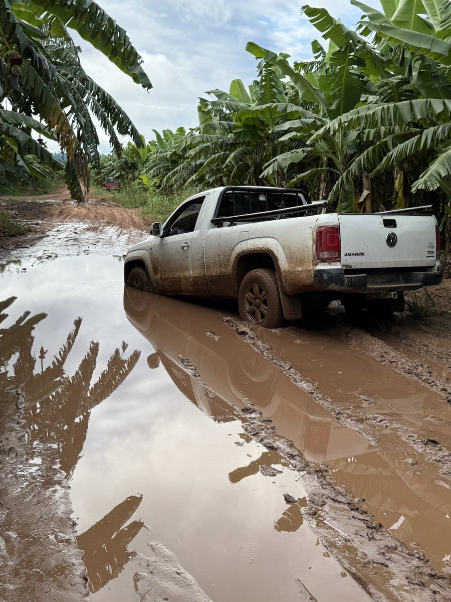 Pecho Ortiz tweet media