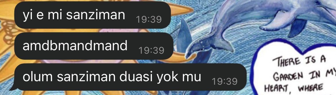 melis 🌻 tweet media