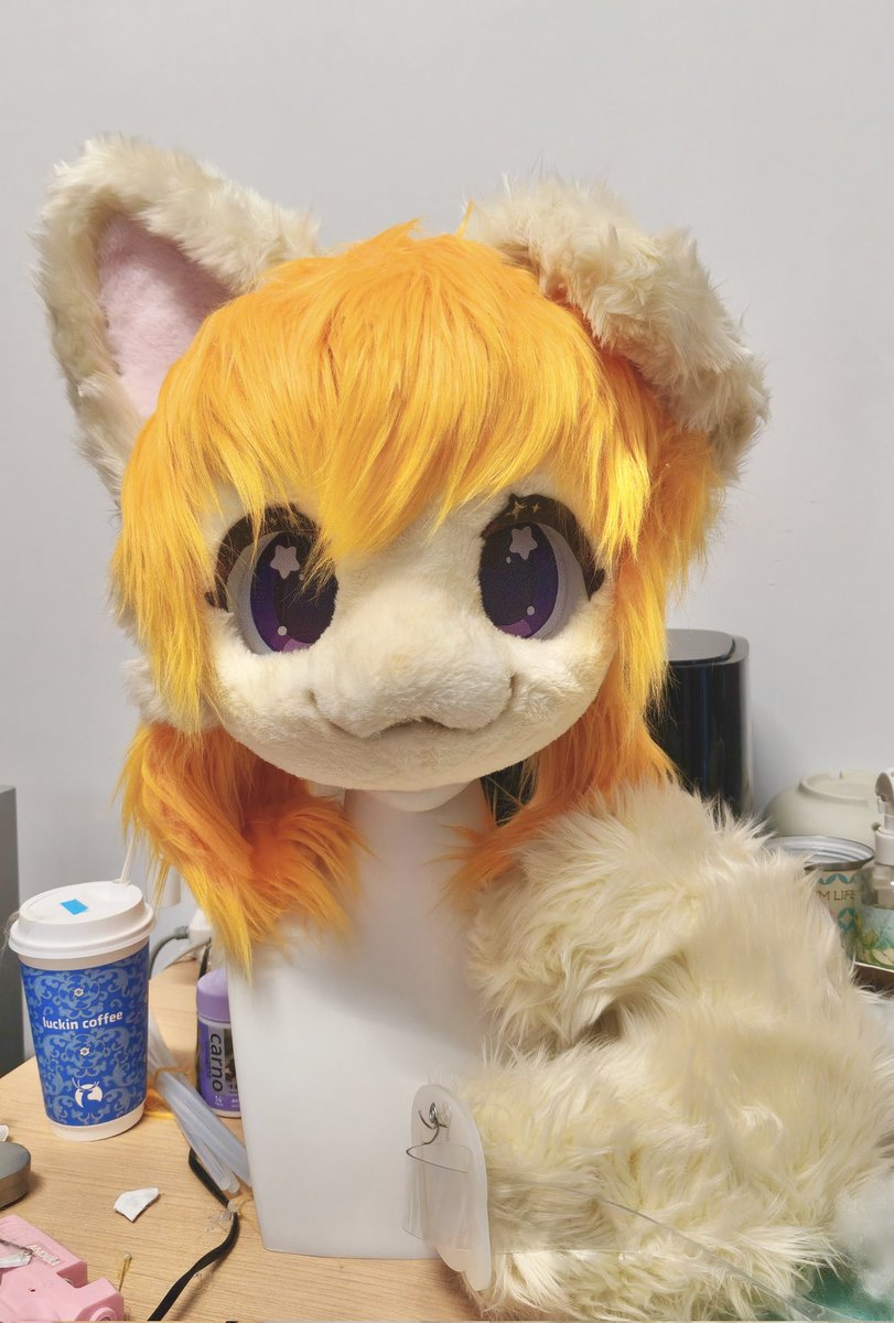 Pholfnix! tweet media