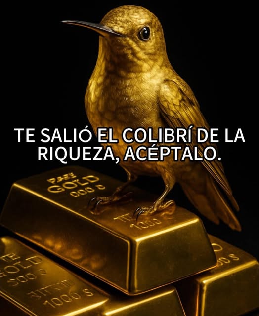 Zona Zero tweet media