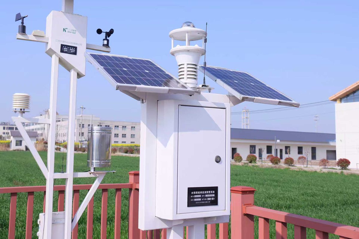 Tang Rui tweet media