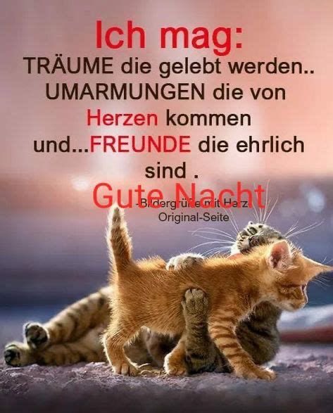 blauesschäfchen tweet media