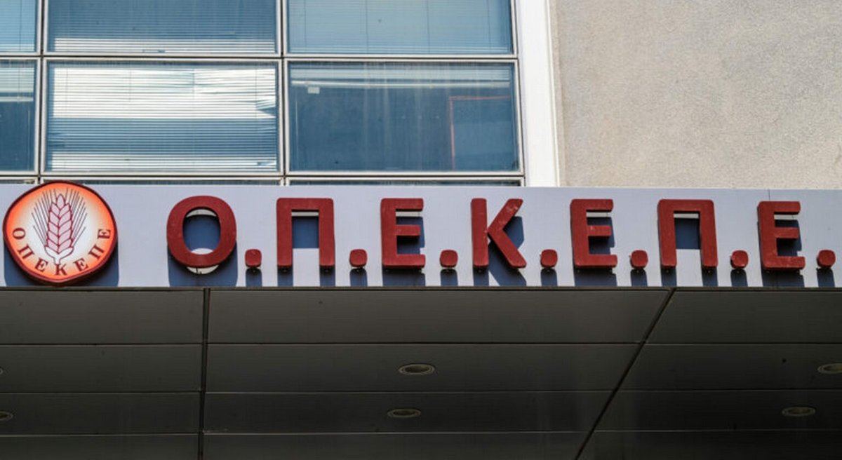 Αναστάσης Κατσαβός🎶🎵🏀 tweet media