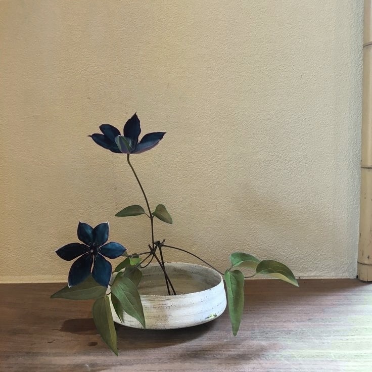 mariconsita tweet media