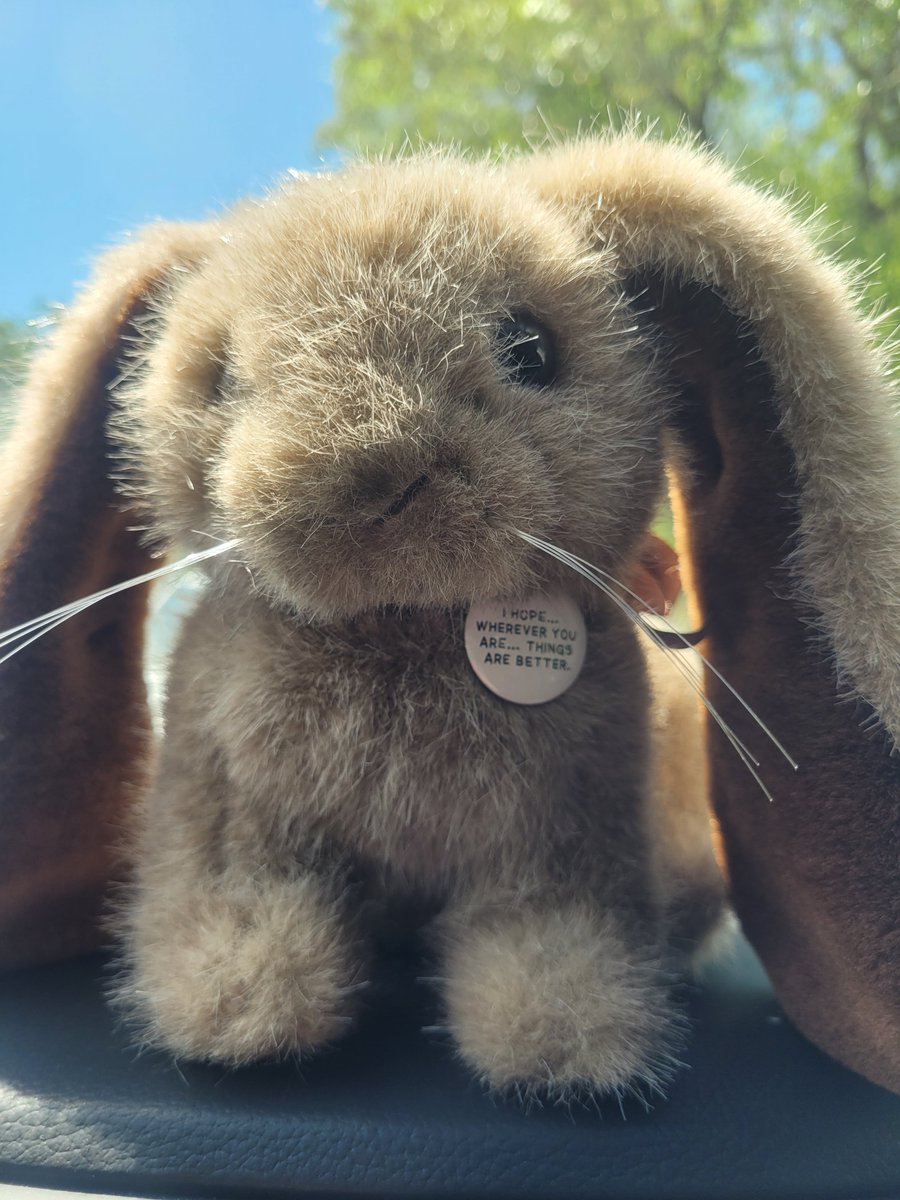 fweh 🐇 tweet media
