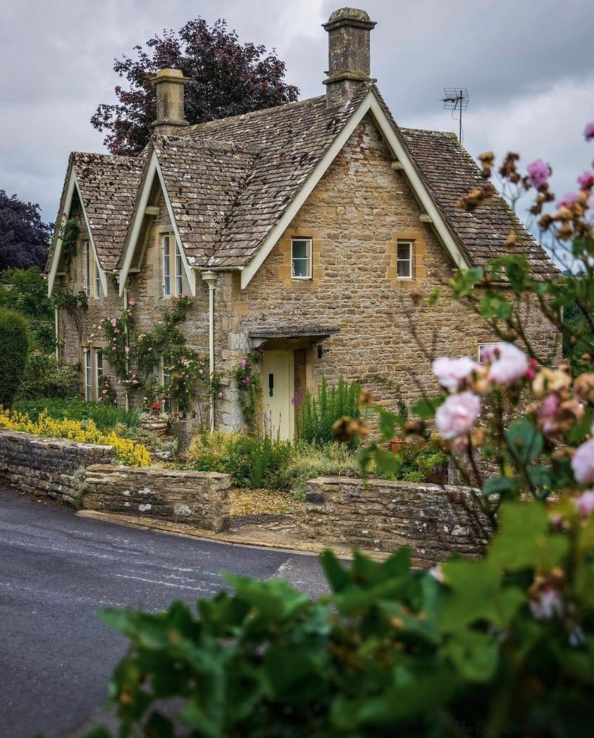 WanderLens tweet media