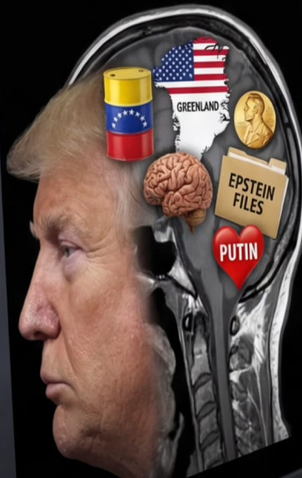 MonkeyFella 🇪🇺🇧🇪🇺🇦🇬🇱 tweet media