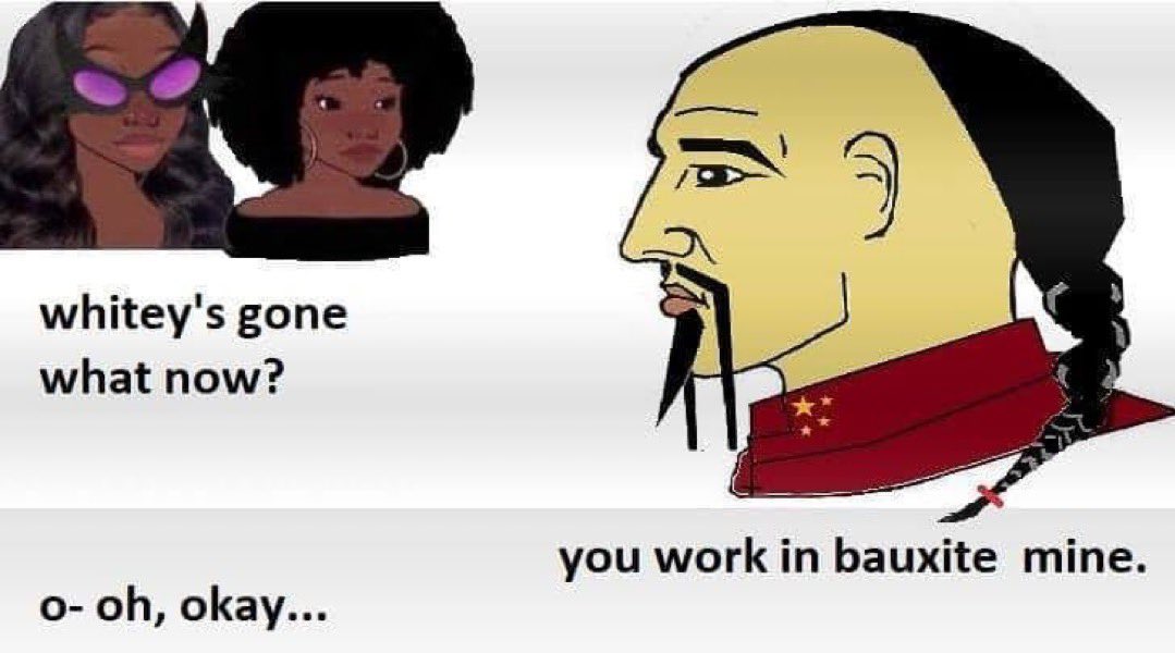 Paulie Penguins tweet media