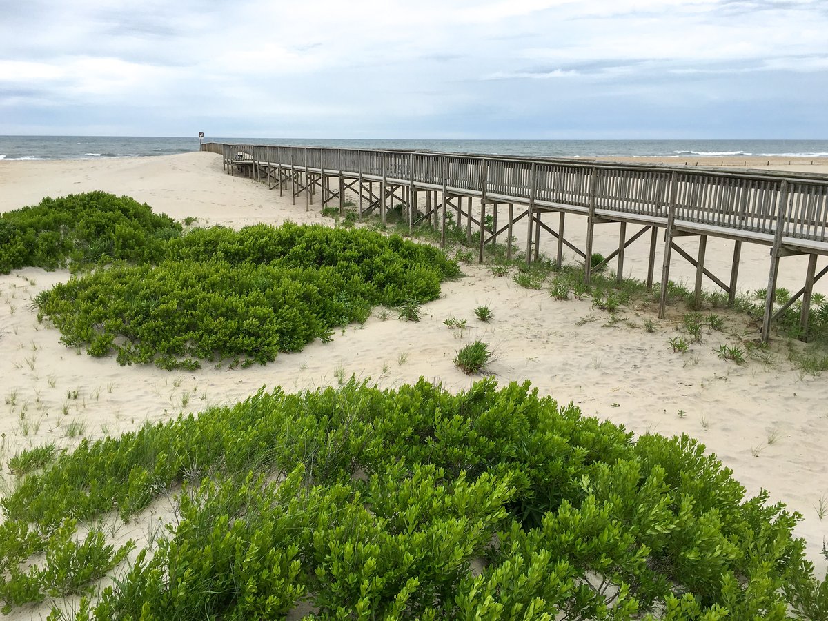 PlayCleanGo: Stop Invasive Species In Your Tracks tweet media