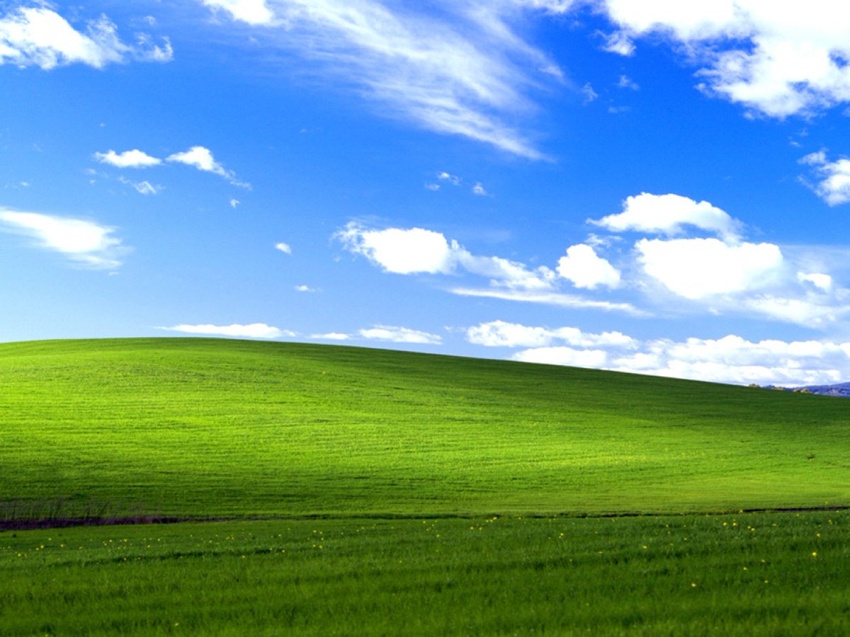 Laura 🐺❤️ tweet media