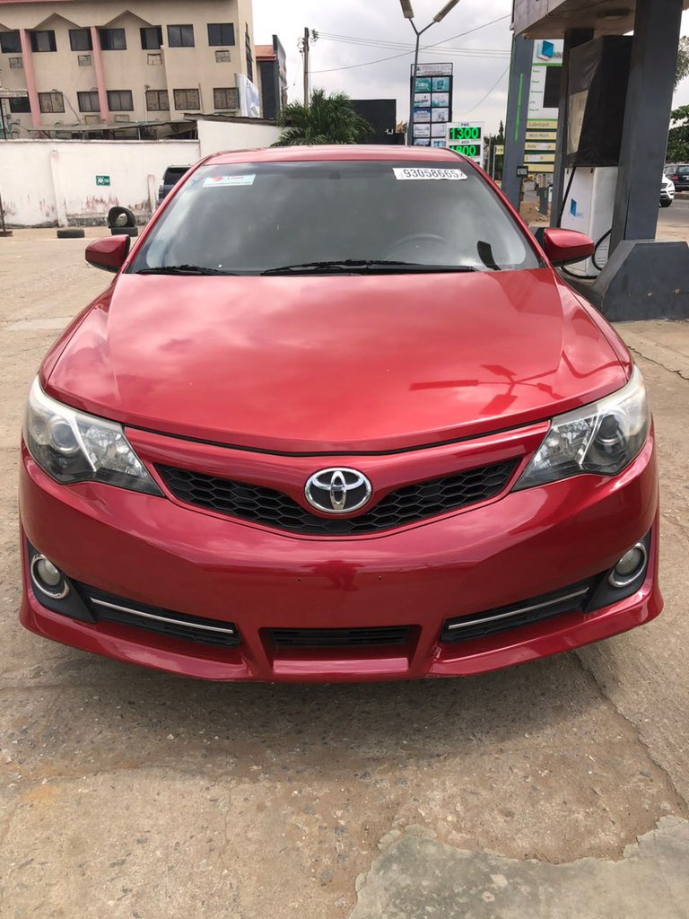 Cozy🦍 tweet media