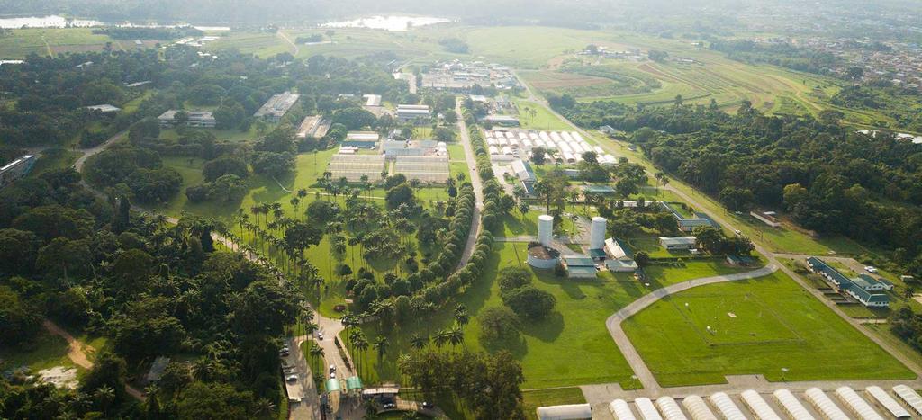 Yorùbáness tweet media