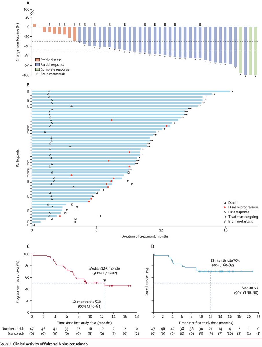 Oscar Tahuahua tweet media