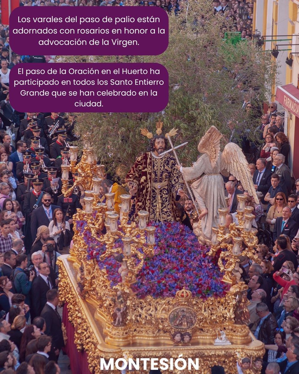 Past View Experience tweet media