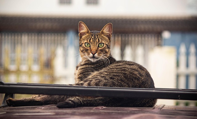 Emily Robinson tweet media