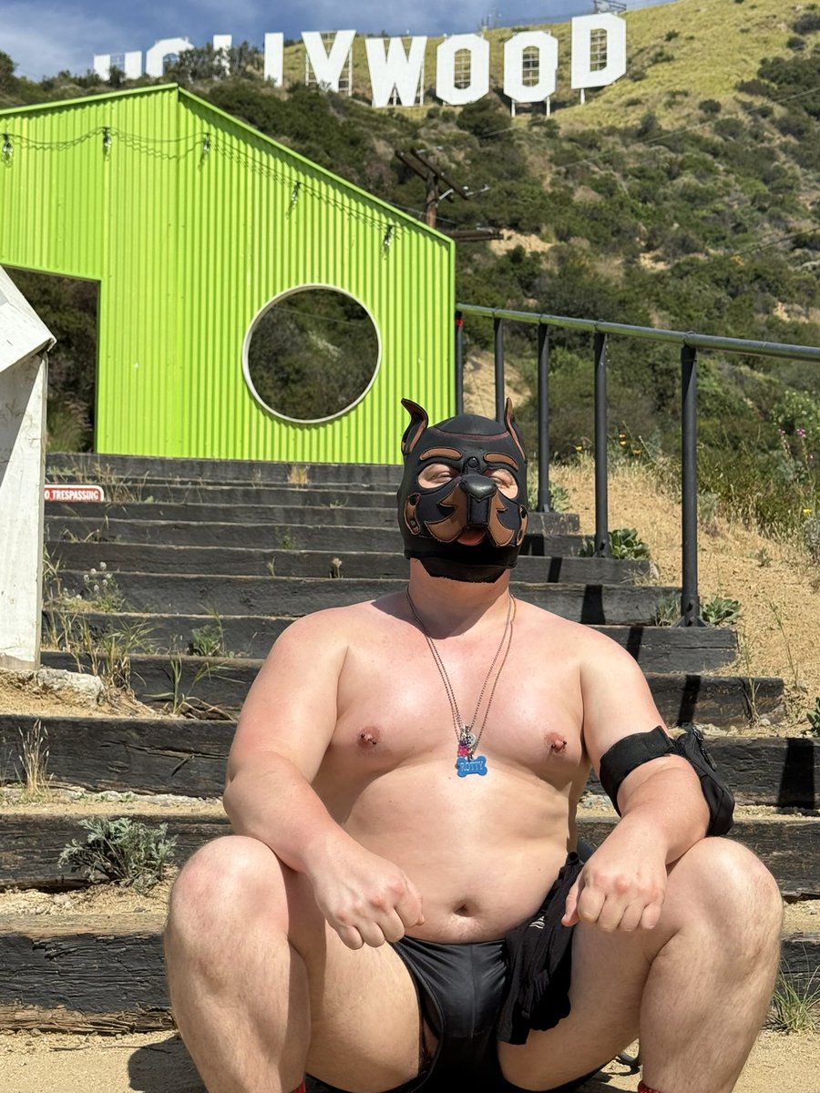 pup.kato tweet media