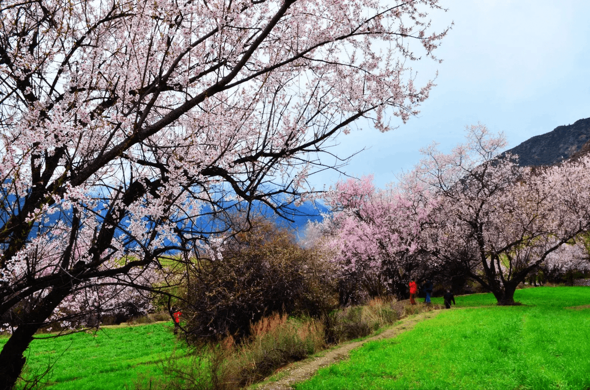 Gill Rulton tweet media