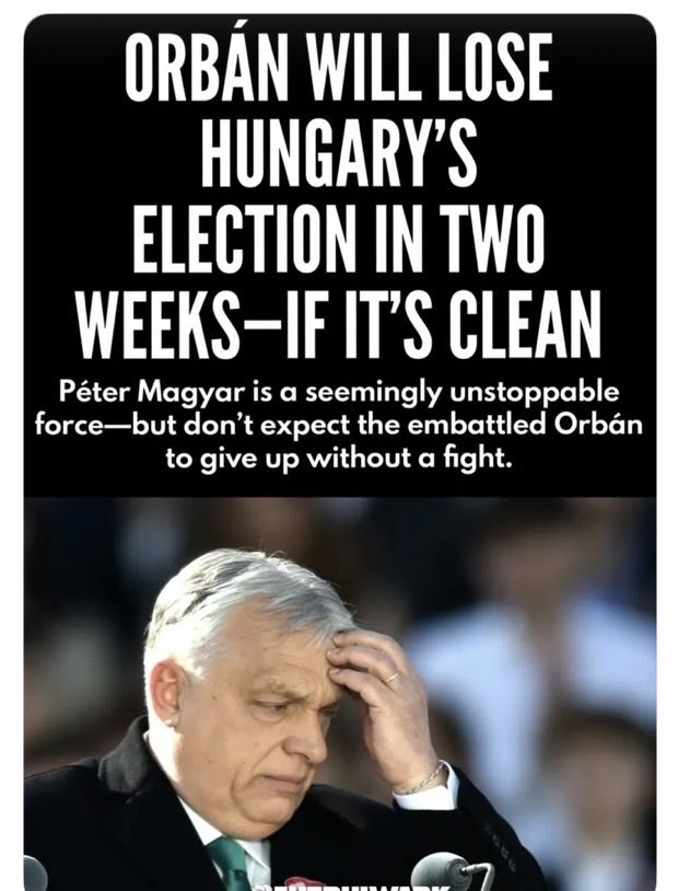 Suzie rizzio tweet media