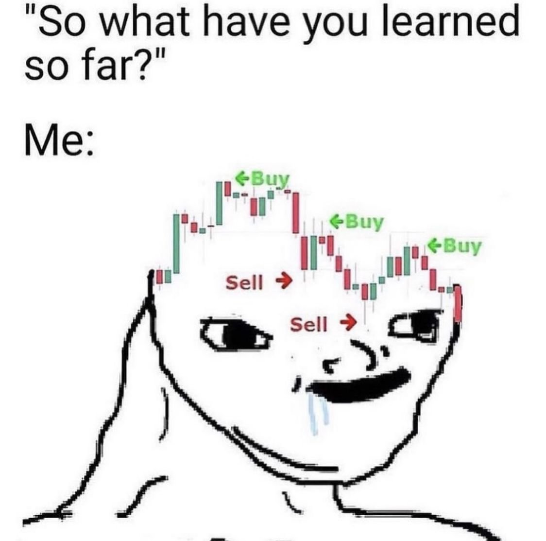 Santolita tweet media