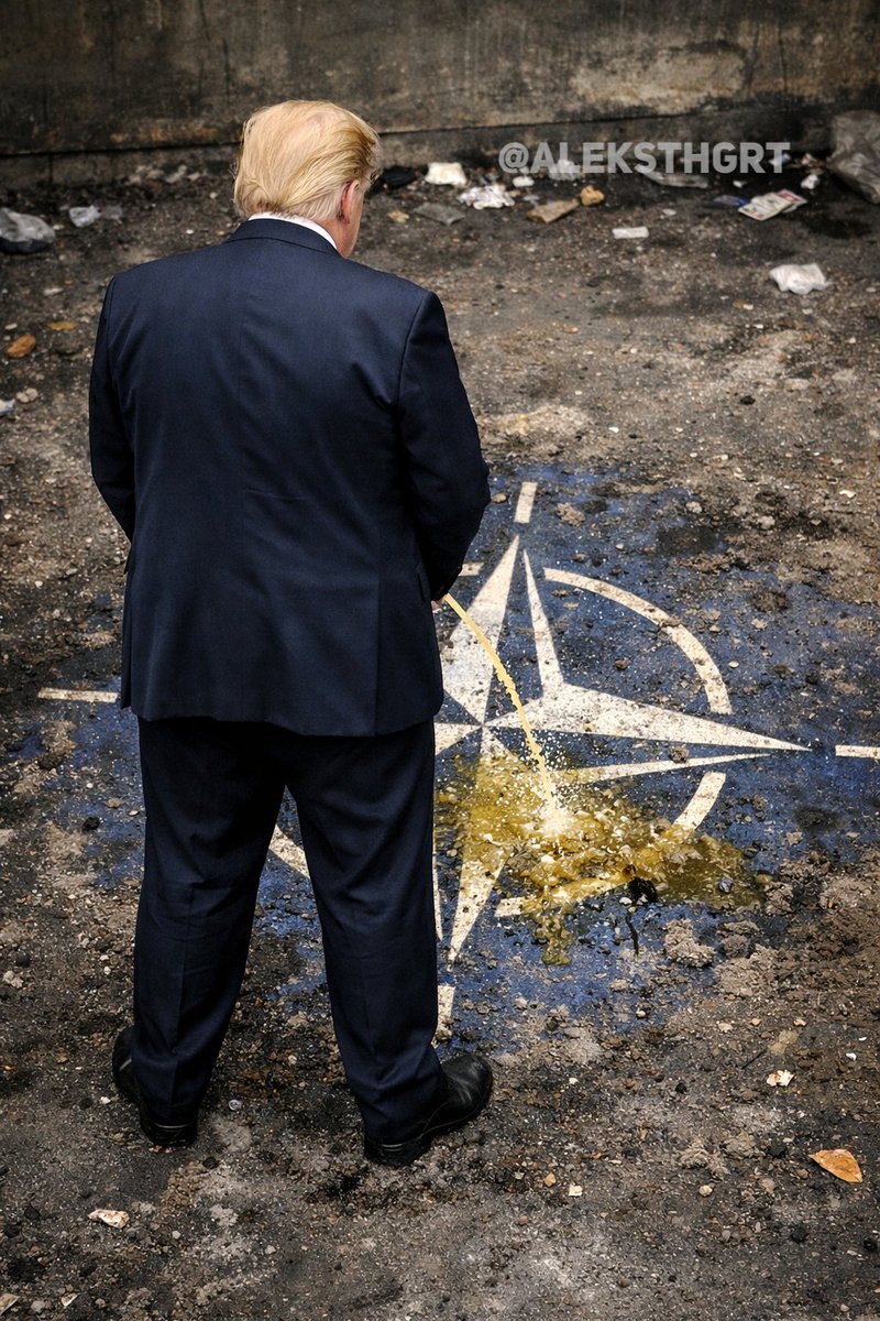 Aleksey The Great 🇷🇺🎖 tweet media